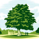 John B. Ward & Co. logo
