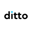 Ditto Insurance