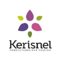 Kerisnel logo