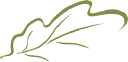 Elica Health Centers