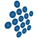 Lifestyle Loans