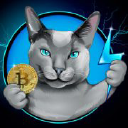Lightning Cats logo