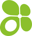 Lingo Telecom, LLC logo
