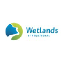 Wetlands International Europe logo