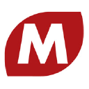 Magni Telescopic Handlers logo