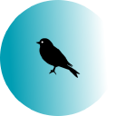 Merula Limited logo