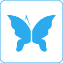 Minnik Chartered Accountants