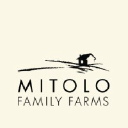 Mitolo Group logo