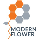 Modern Flower