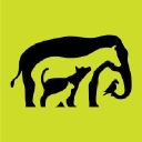 Morris Animal Foundation logo