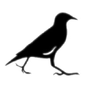 Mynah Partners