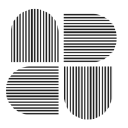 North State Cyber Solutions LLC logo