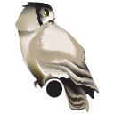 Night Owl Support Systems logo