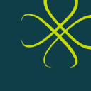 Novonesis logo