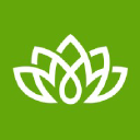 Novus Health logo