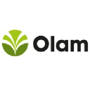 Olam Group logo