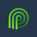 Palmetto logo