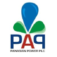 PAP.N0000 logo