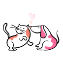 Petamiko