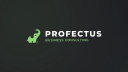Profectus Business Consulting logo