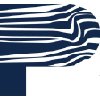 PSY logo