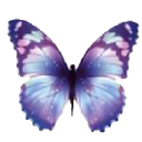 PURPLE FLAUNT