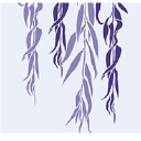 Standout Web Services