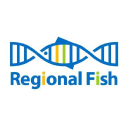 Regional Fish