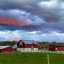 Remlinger Farms logo