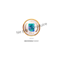 Remote Friendly logo