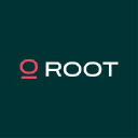 Root Global
