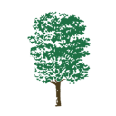 Jaybird Senior Living