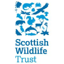Scottish Wildlife Trust logo