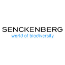 Senckenberg Gesellschaft für Naturforschung logo