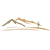 PING