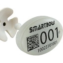 Smartbow logo