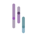 Sokowatch logo