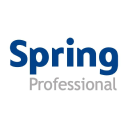 Spring Professional