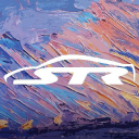 STR38 Motorsports logo