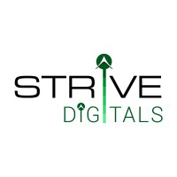 Strive Digitals Pvt Ltd