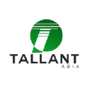 Tallant Asia