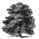 The Olympia Companies