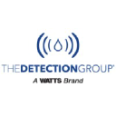 The Detection Group logo