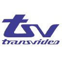 Transvideo logo