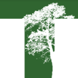 TCOR logo