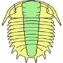 Trilobite Solutions logo