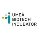 Umeå Biotech Incubator logo