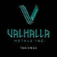 VMXX logo