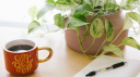 Verb Web Copywriting