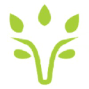 Viridios Capital logo